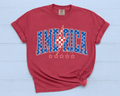 America Distressed Star Lettering